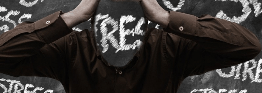 Fight, Flight to Burnout